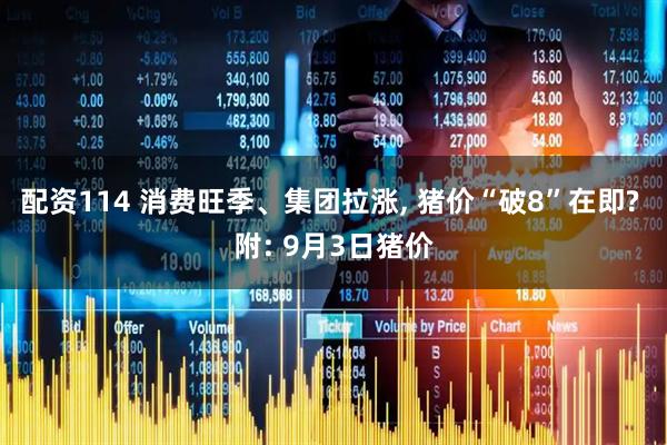 配资114 消费旺季、集团拉涨, 猪价“破8”在即? 附: 9月3日猪价