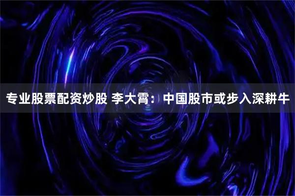 专业股票配资炒股 李大霄：中国股市或步入深耕牛