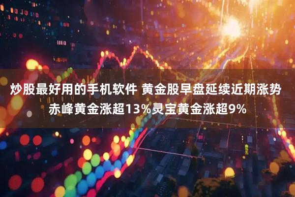 炒股最好用的手机软件 黄金股早盘延续近期涨势 赤峰黄金涨超13%灵宝黄金涨超9%