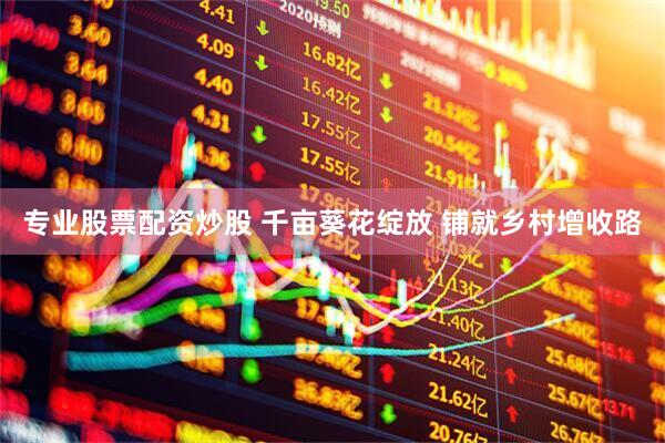 专业股票配资炒股 千亩葵花绽放 铺就乡村增收路