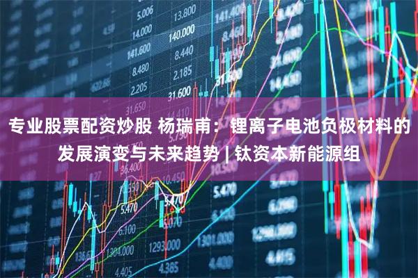 专业股票配资炒股 杨瑞甫：锂离子电池负极材料的发展演变与未来趋势 | 钛资本新能源组