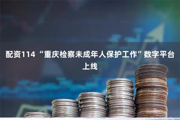 配资114 “重庆检察未成年人保护工作”数字平台上线