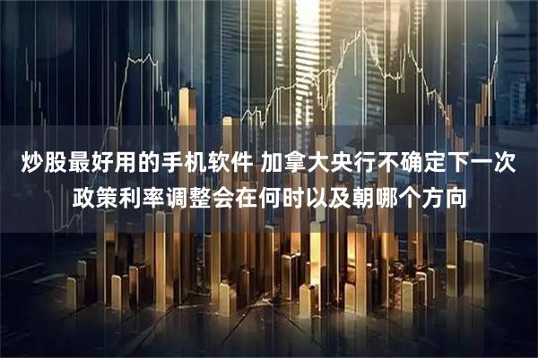 炒股最好用的手机软件 加拿大央行不确定下一次政策利率调整会在何时以及朝哪个方向