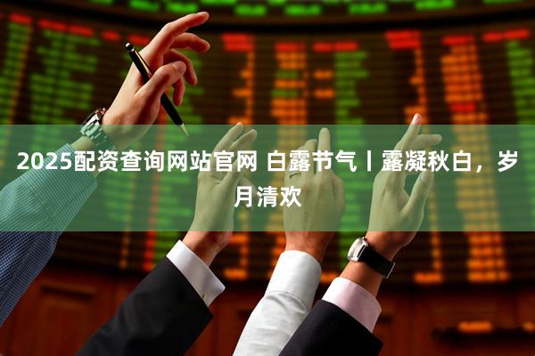 2025配资查询网站官网 白露节气丨露凝秋白，岁月清欢